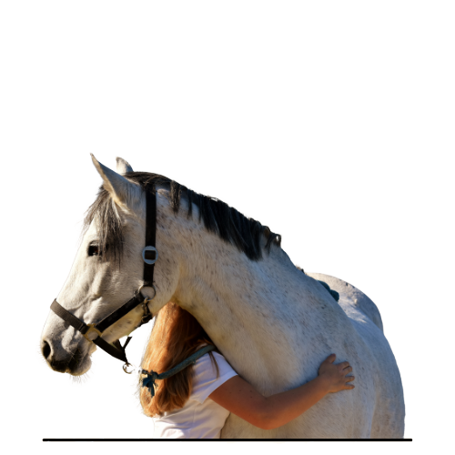 Pets - 18 - Edited
